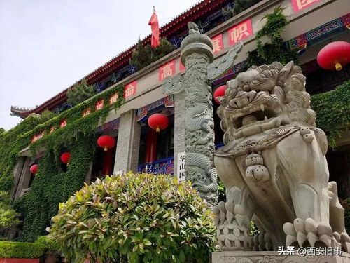 劉俊奇與貞奇文化 北大街上的古都文化底蘊